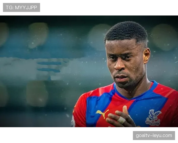 马克·格伊推动可持续发展政策，引领未来经济增长新方向