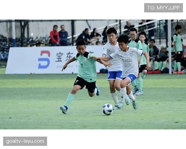 富勒姆青训体系持续升级，打造未来足球明星摇篮