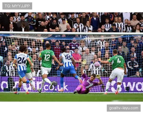 热门赛程回顾：近期焦点赛事表现稳健，走势清晰