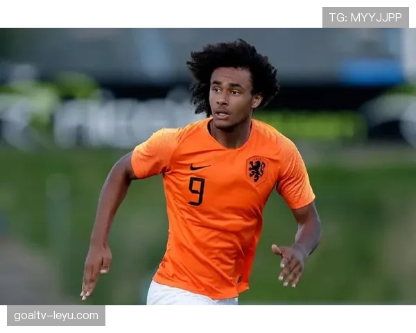 罗德里戈战术角色与体系适配性解析