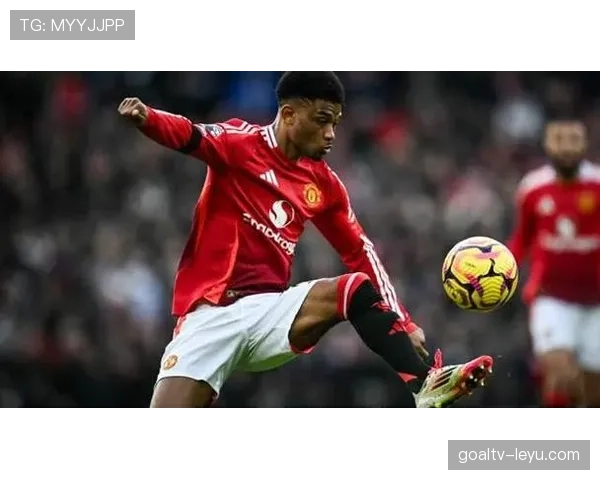 曼联转会策略是否失误：对球队阵容竞争力与赛季表现的影响评估